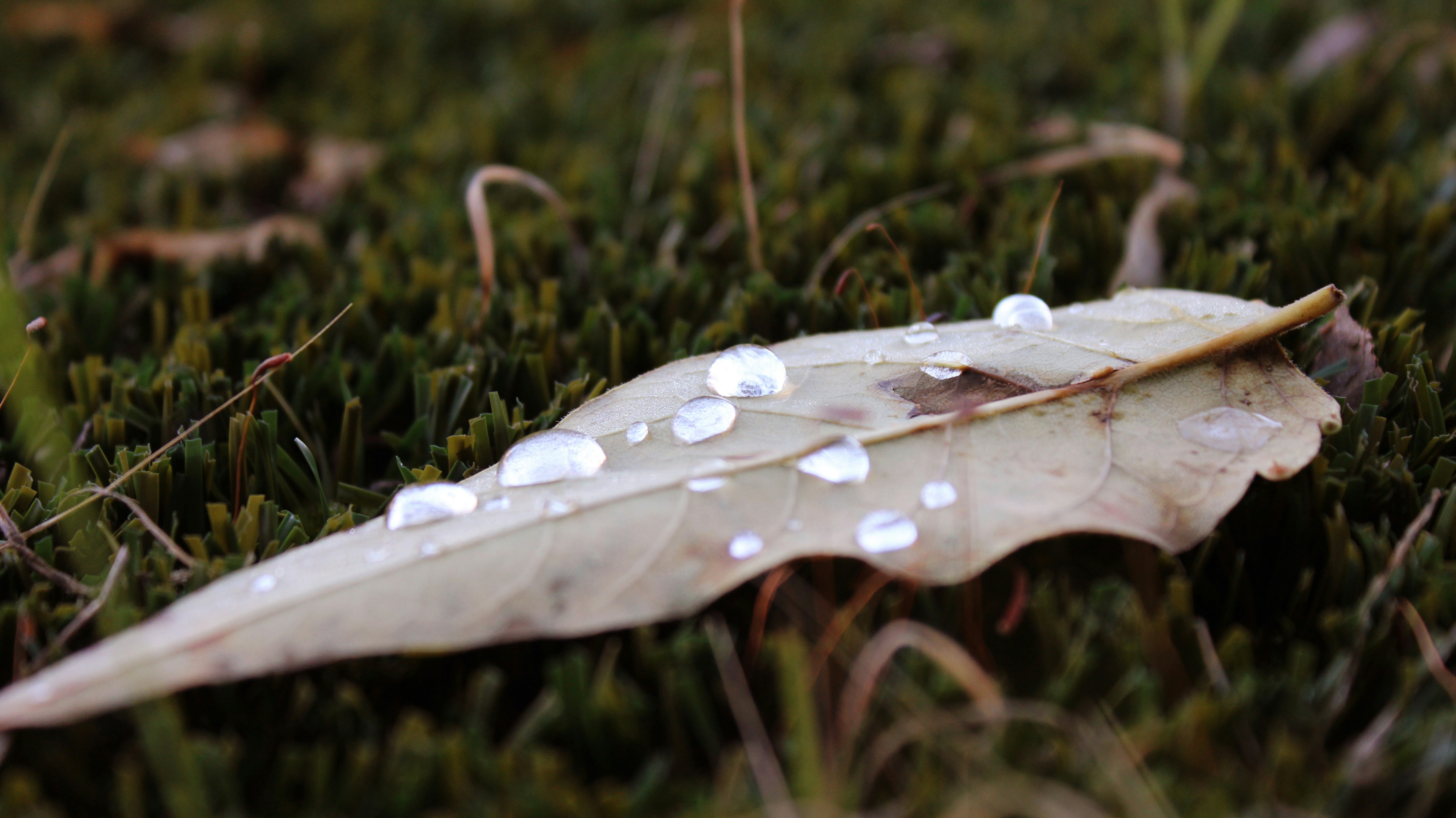 Free Unsplash photo from Erika Font