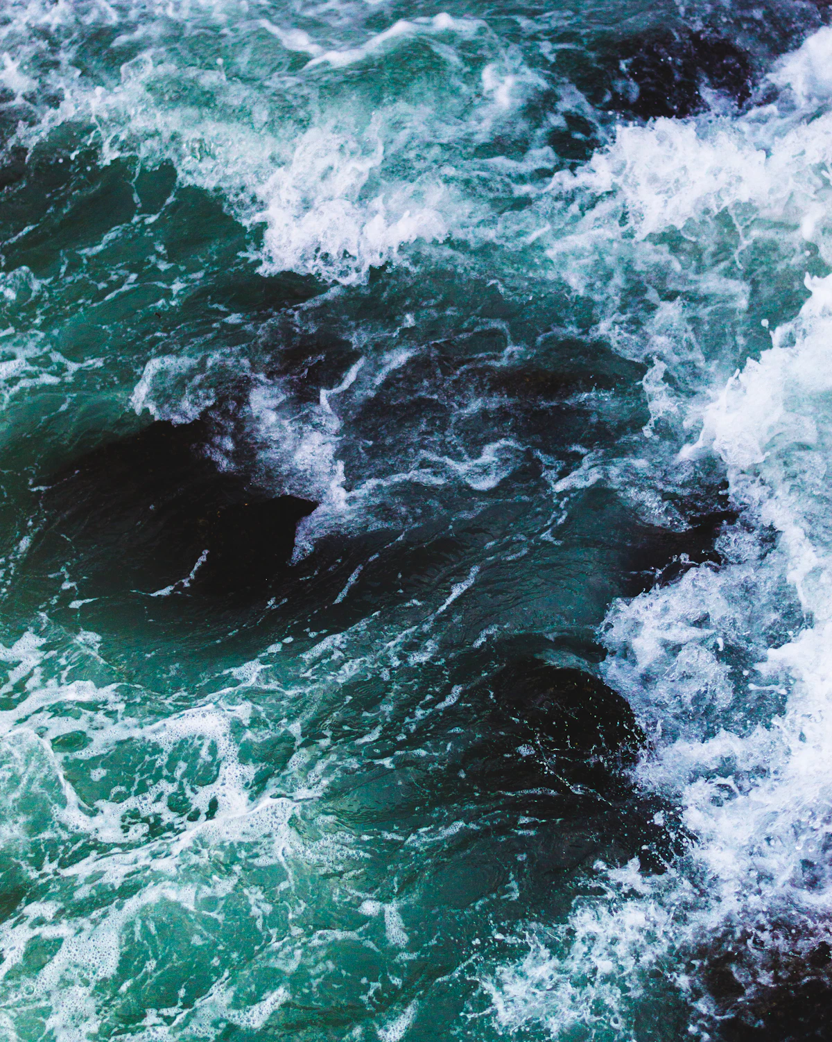 Unsplash photo illustrating Directors and Officers Insurance for Small Organizations (Business Insurance)
