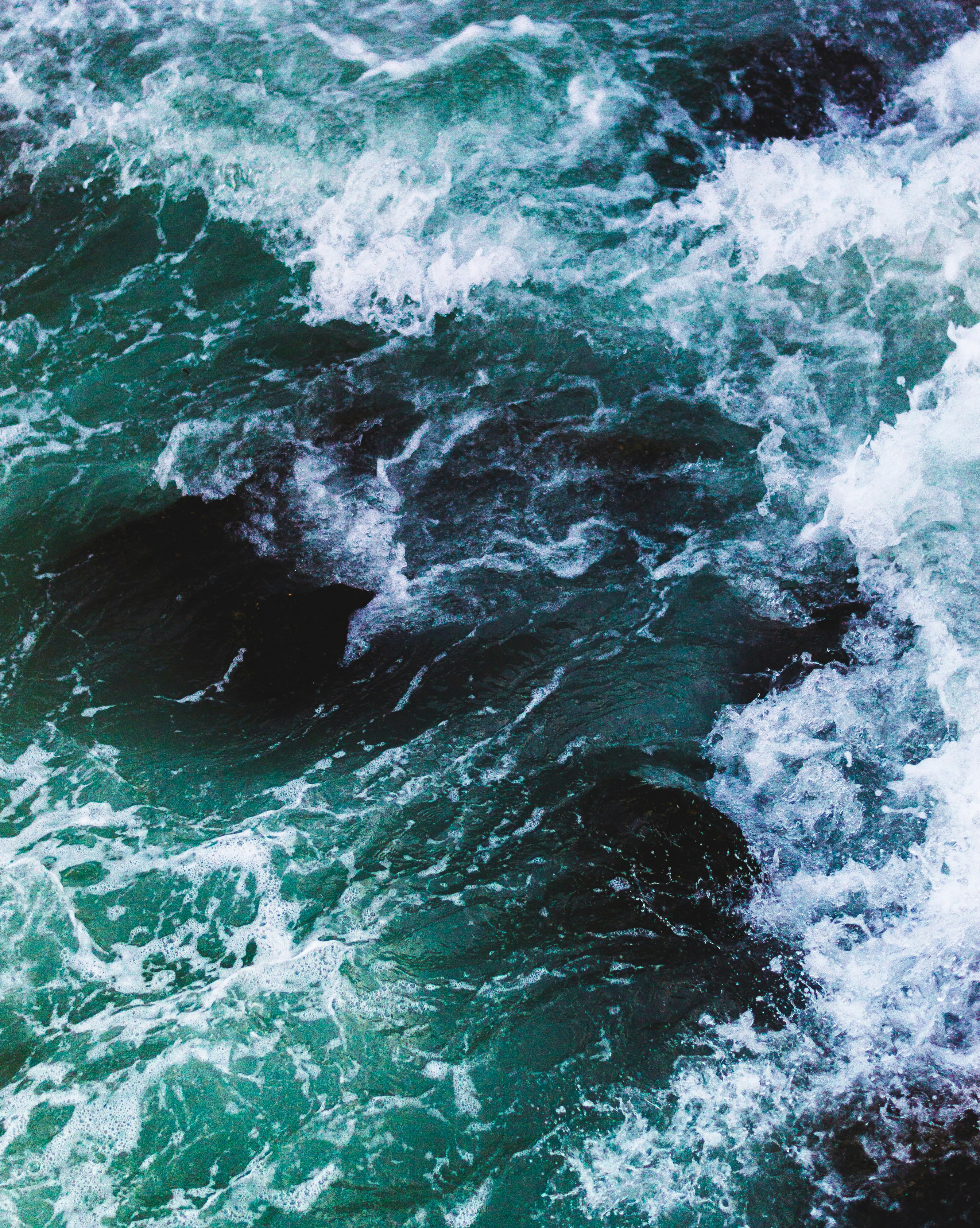 The Role Of Cold Water In Modulating Immune Responses