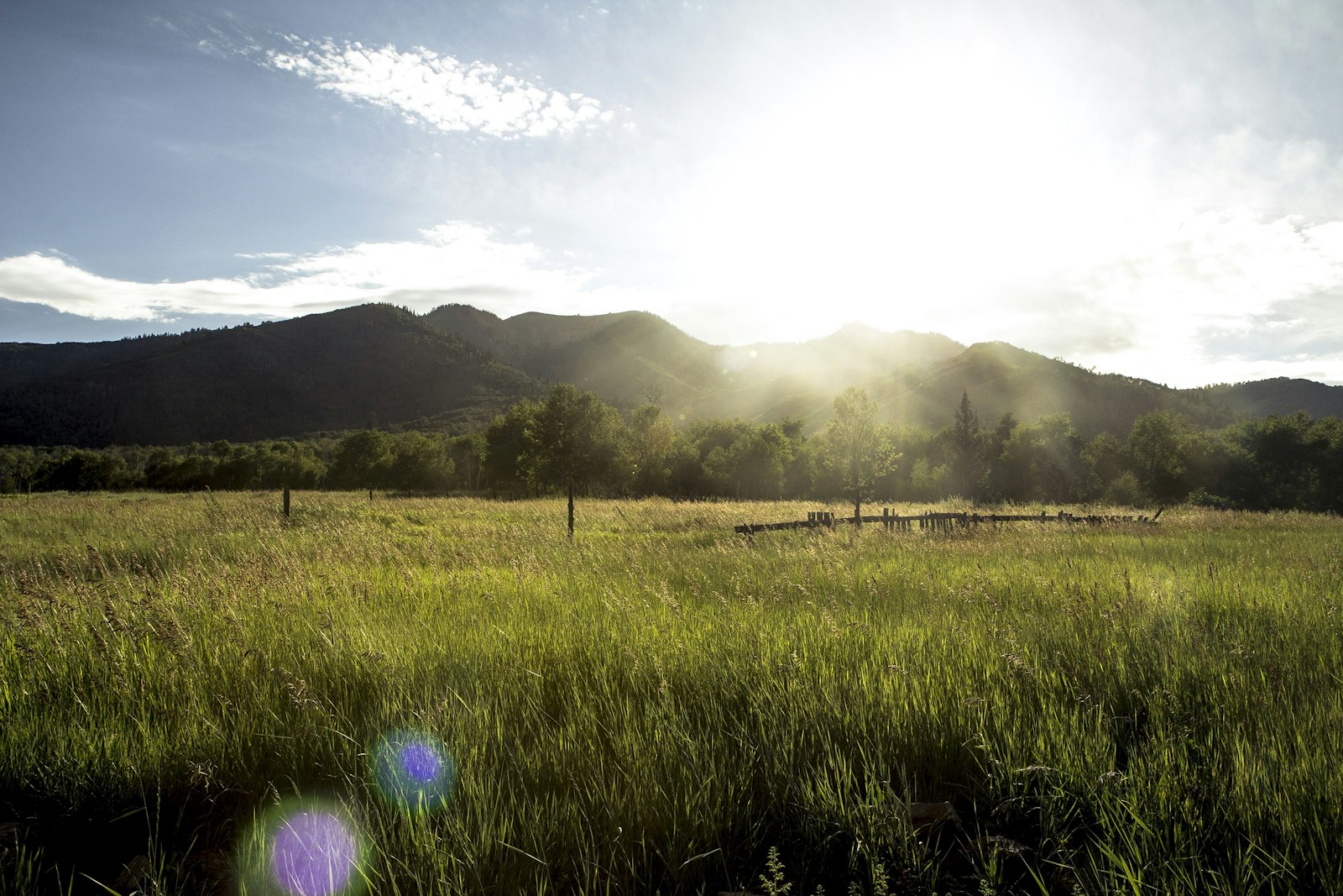 Canon EOS 60D + Canon EF-S 17-55mm F2.8 IS USM sample photo. Grass field with mountain photography