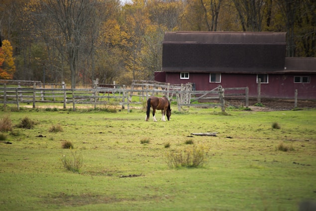 A cozy sweatshirt draped over a rustic wooden fence with a horse grazing peacefully in the background.