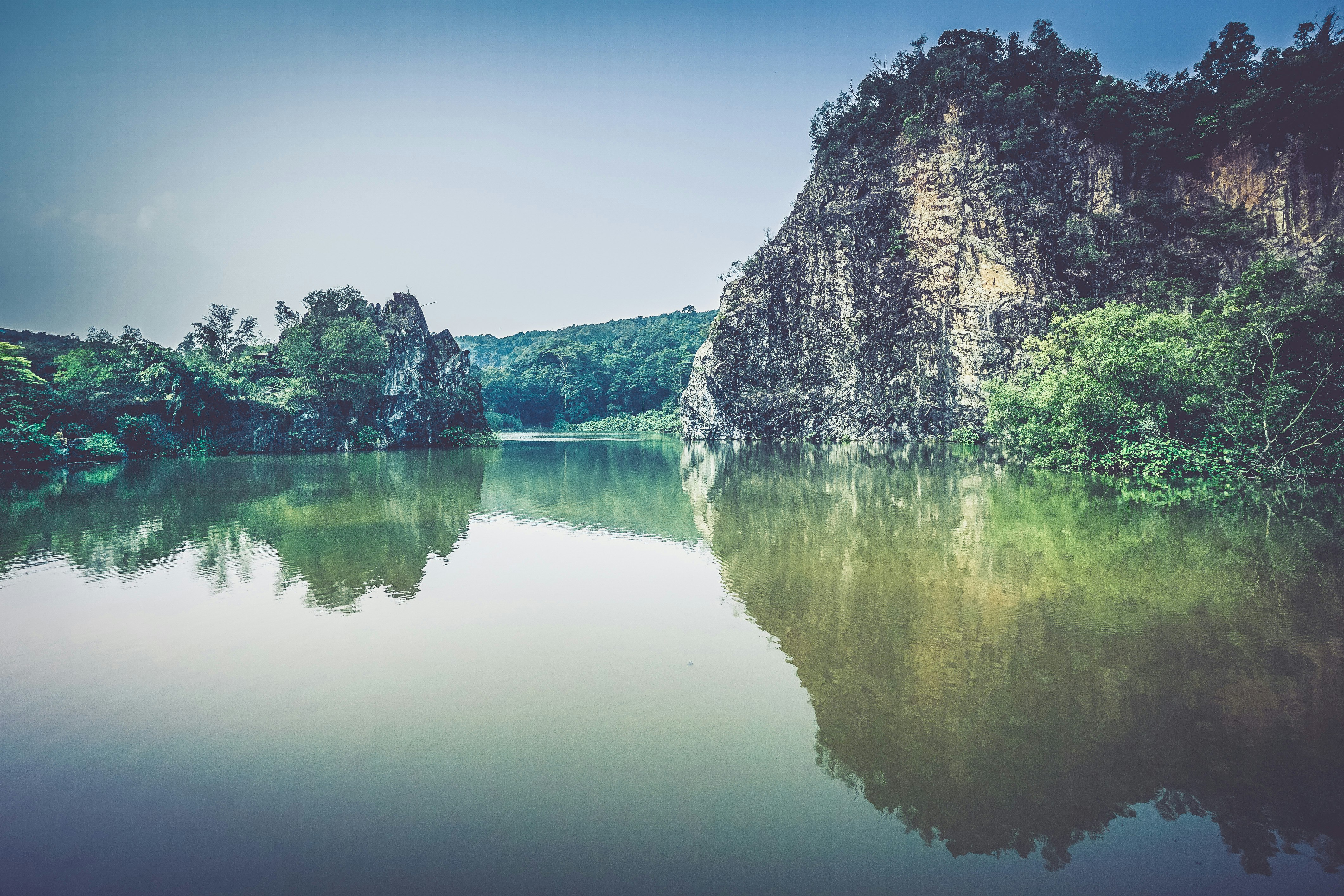 gray rock formation with plants near body of water