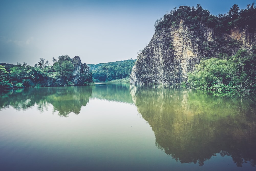 gray rock formation with plants near body of water