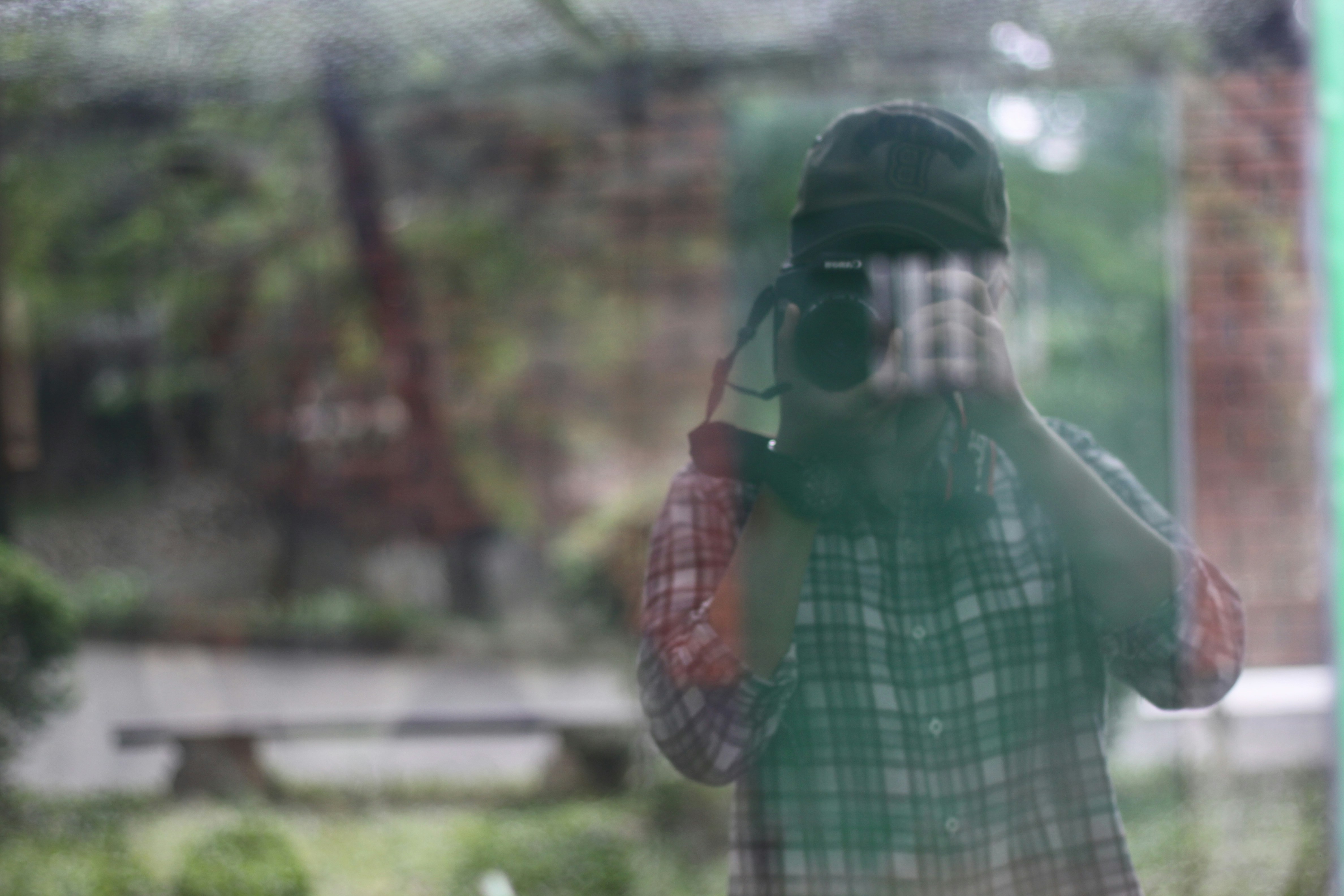 Free Unsplash photo from Vo holiday