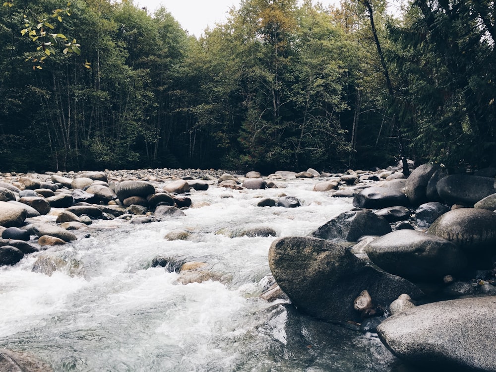 timelapse photo of river at daytime