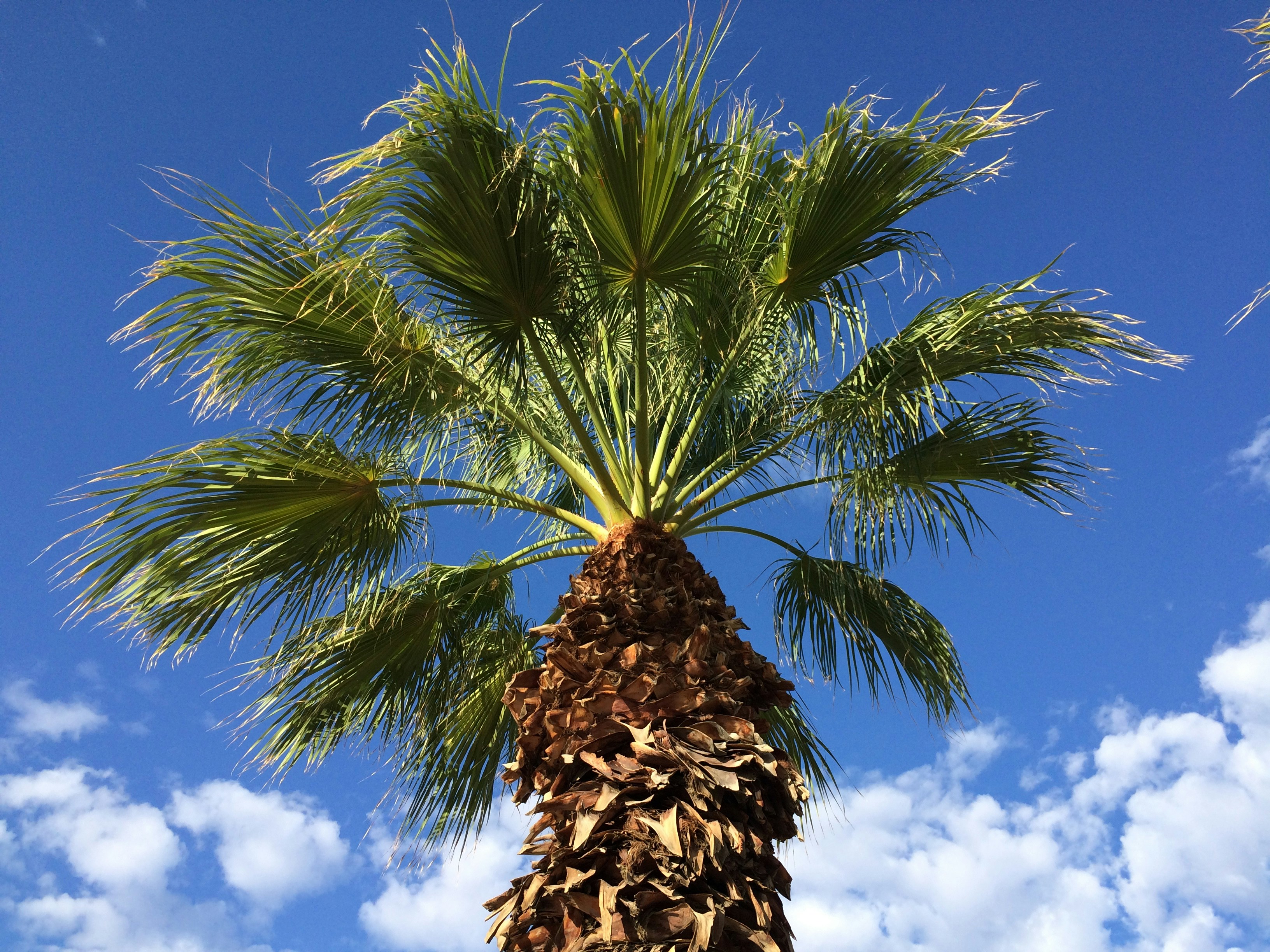 Free Unsplash photo from Bryan Sleiter