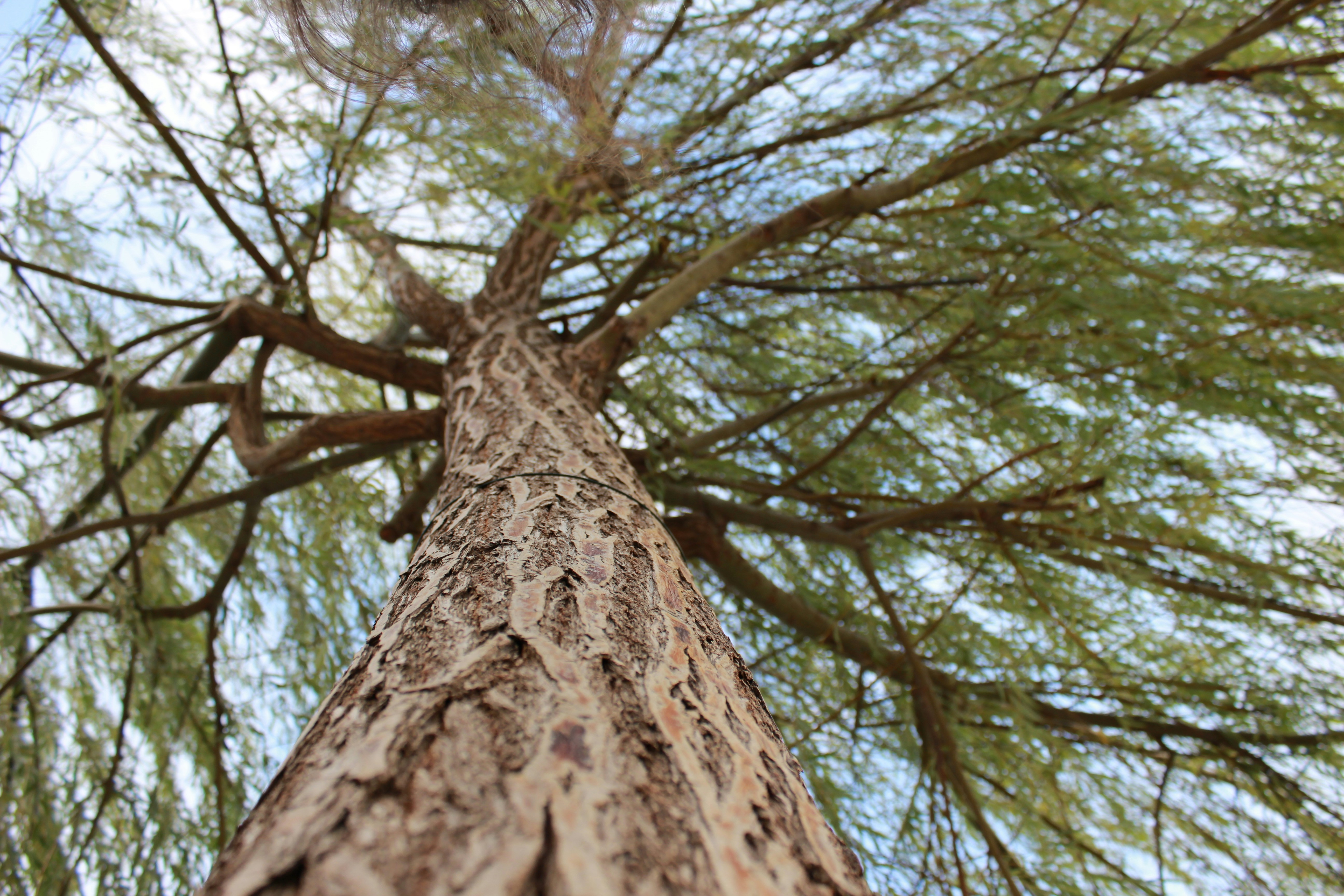 Free Unsplash photo from Maria Peroni