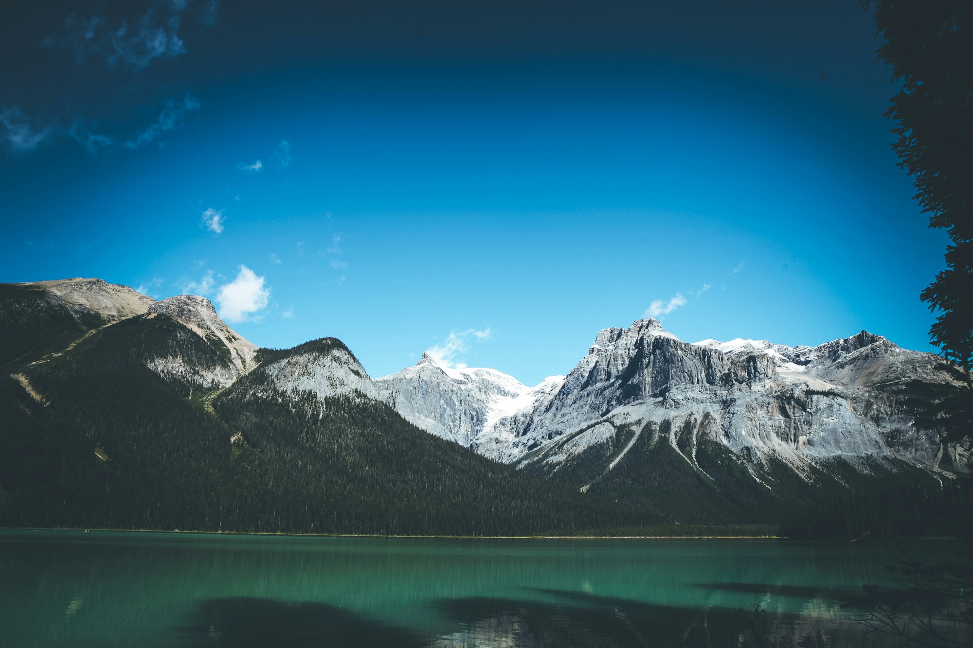 Free Unsplash photo from Megan  Lewis