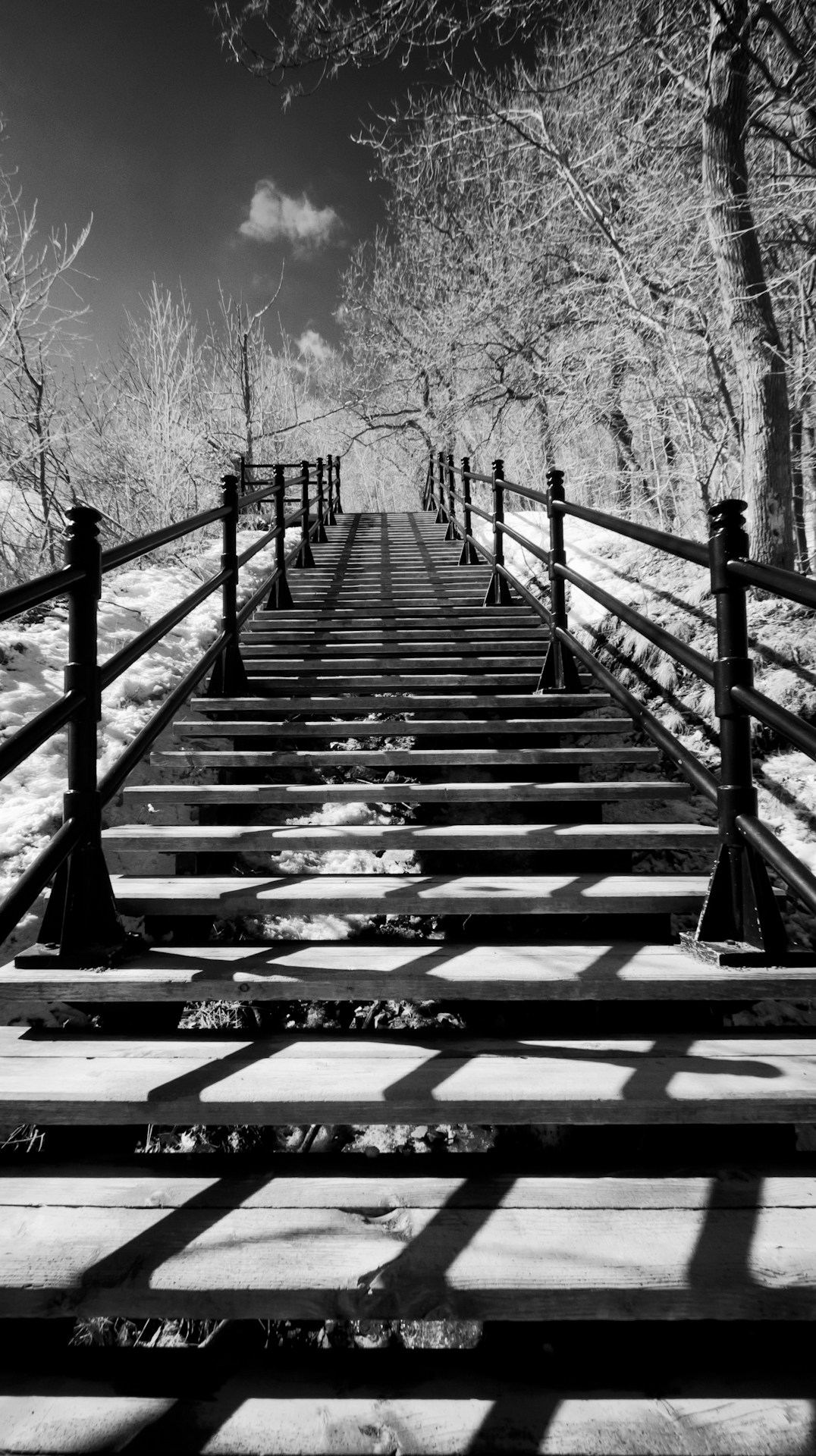 Free Unsplash photo from Dave Dupéré