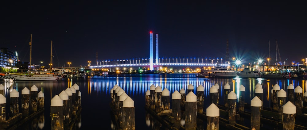 brown and white wooden dock facing bridge during night time