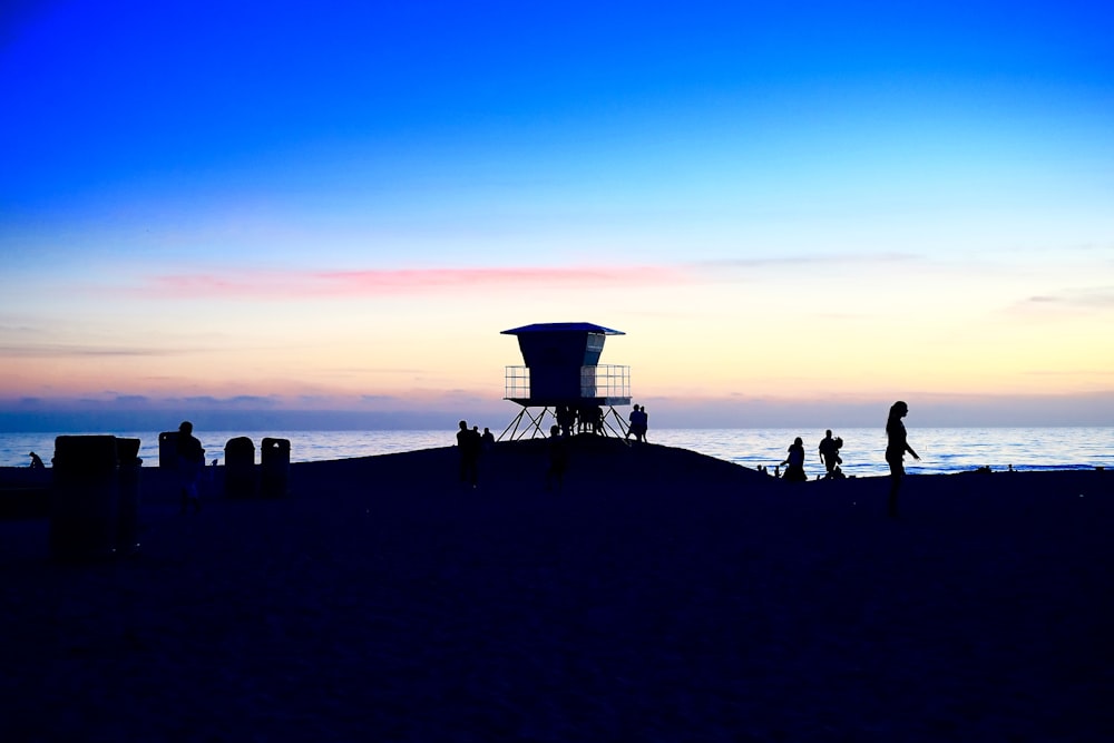 silhouette photo of people at beach