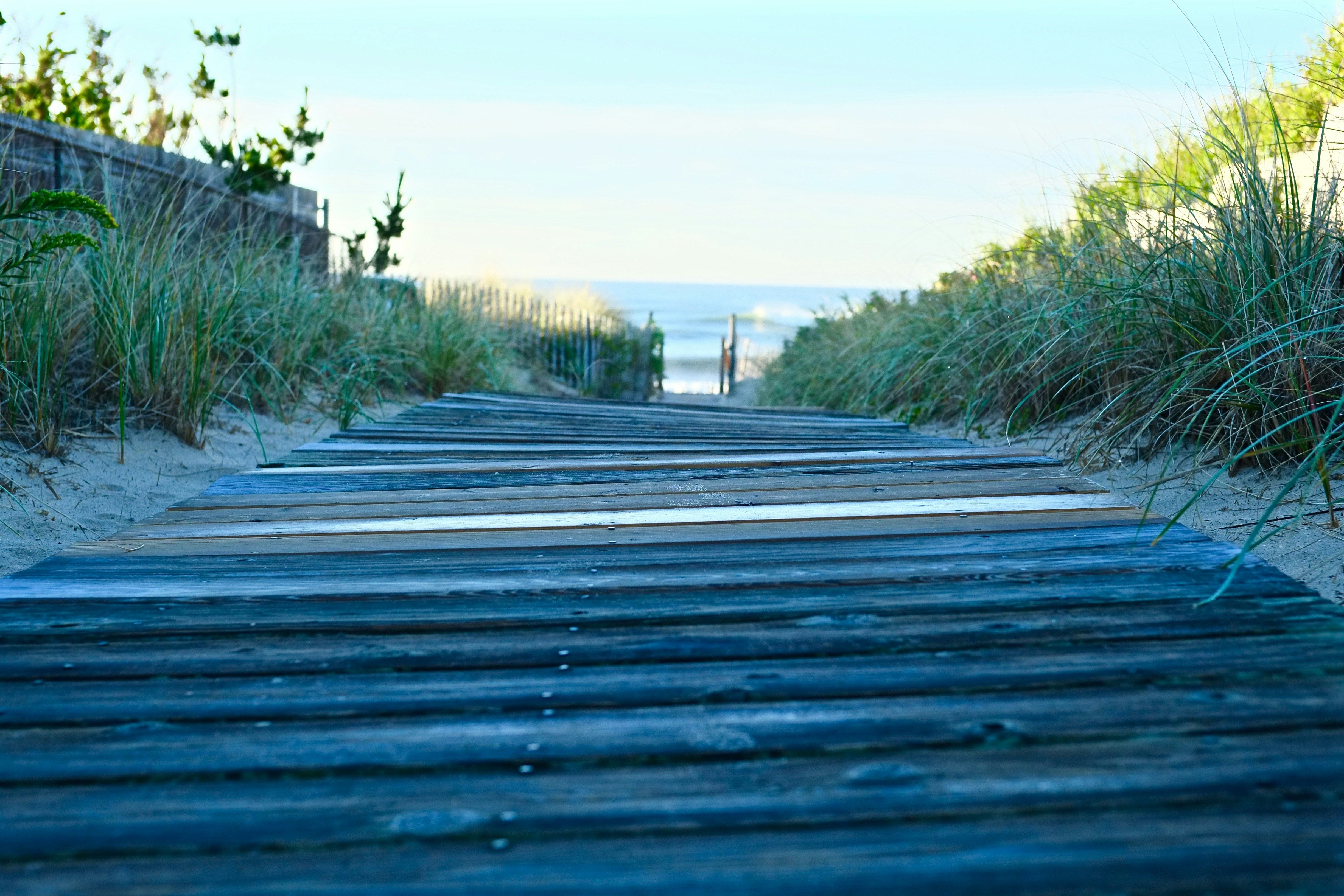 Free Unsplash photo from Lorenzo Lietti