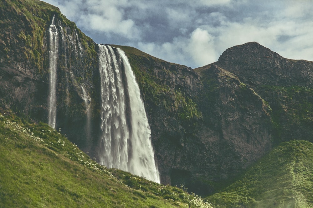 waterfalls near cliff and trees during daytime