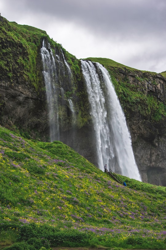 photography of waterfalls during daytime in Seljalandsfoss Iceland