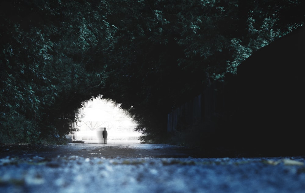 person standing beside white painted wall surrounded by trees