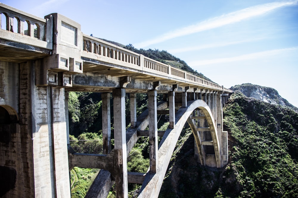 concrete bridge near green forest during daytime