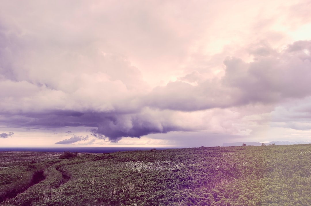 green and brown grass field under gray and white cloudy sky