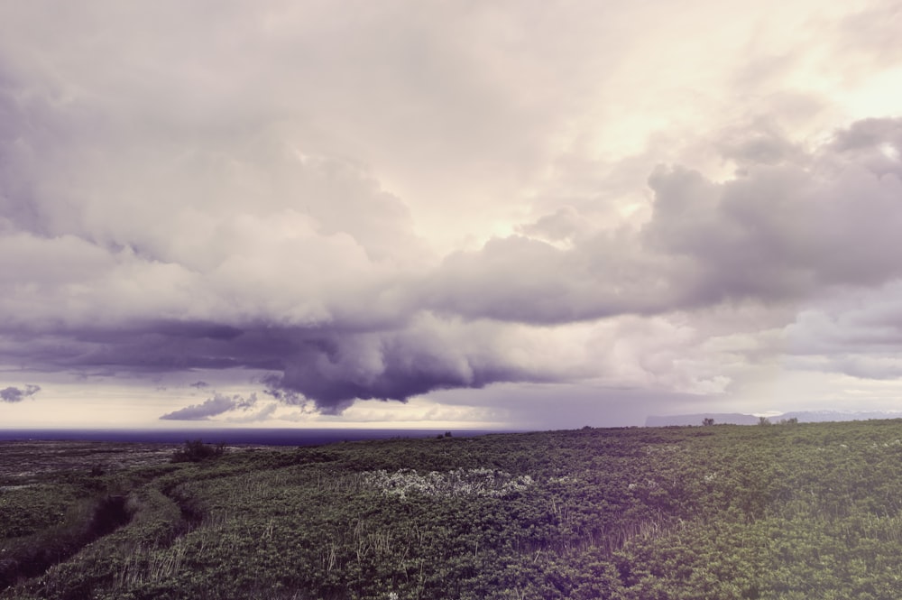 Campo de grama verde e marrom sob céu nublado cinza e branco