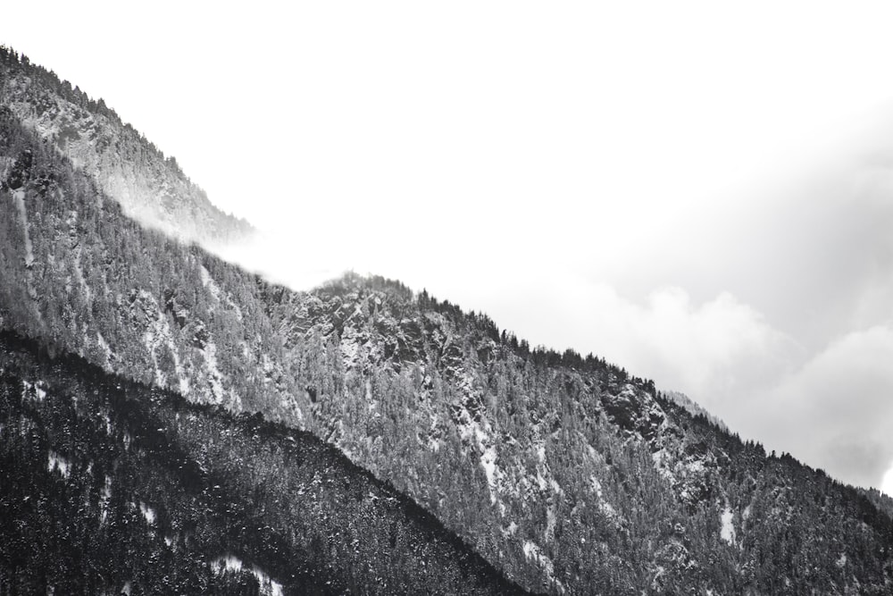 회색조 산의 사진