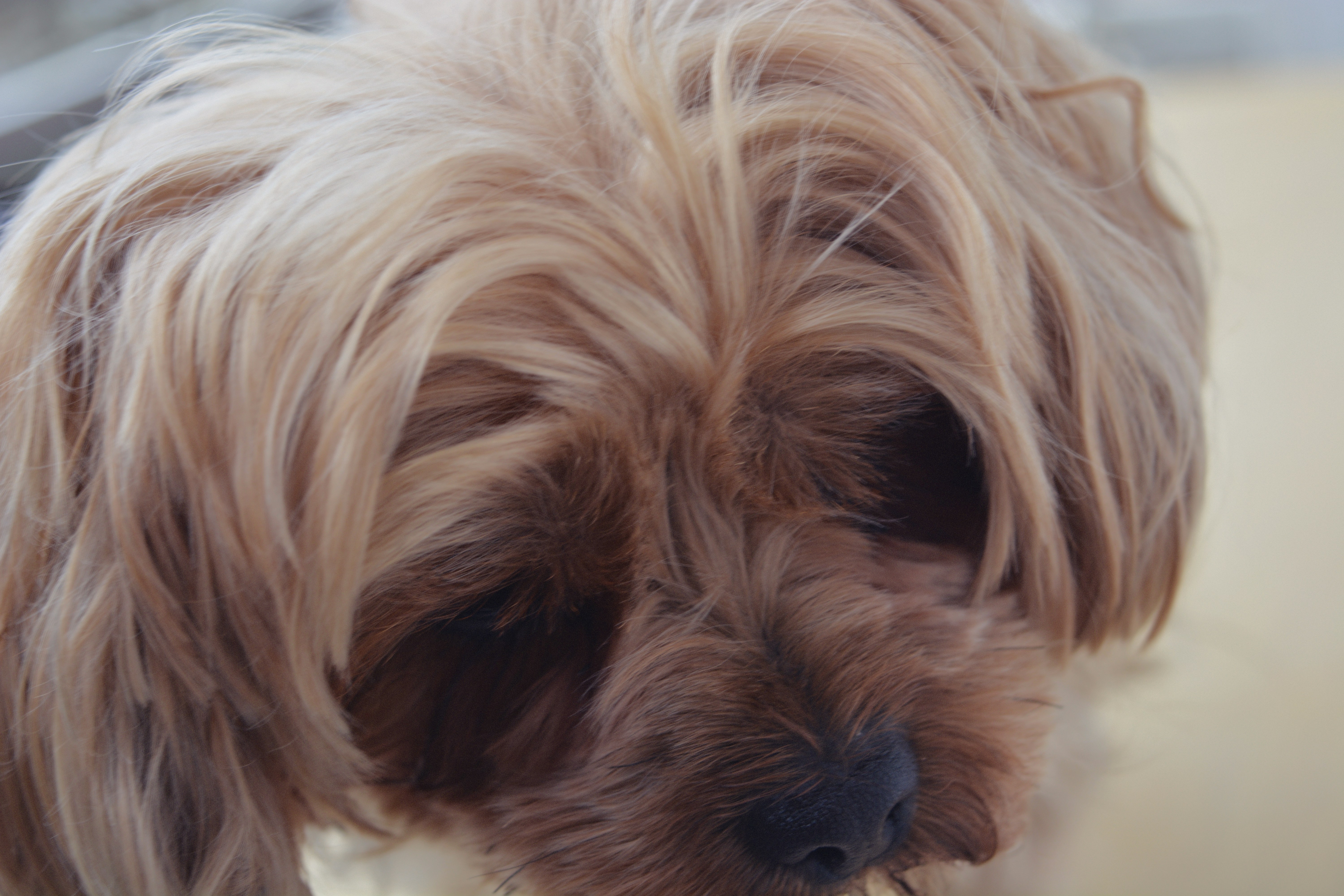 Free Unsplash photo from Kostantina Karas