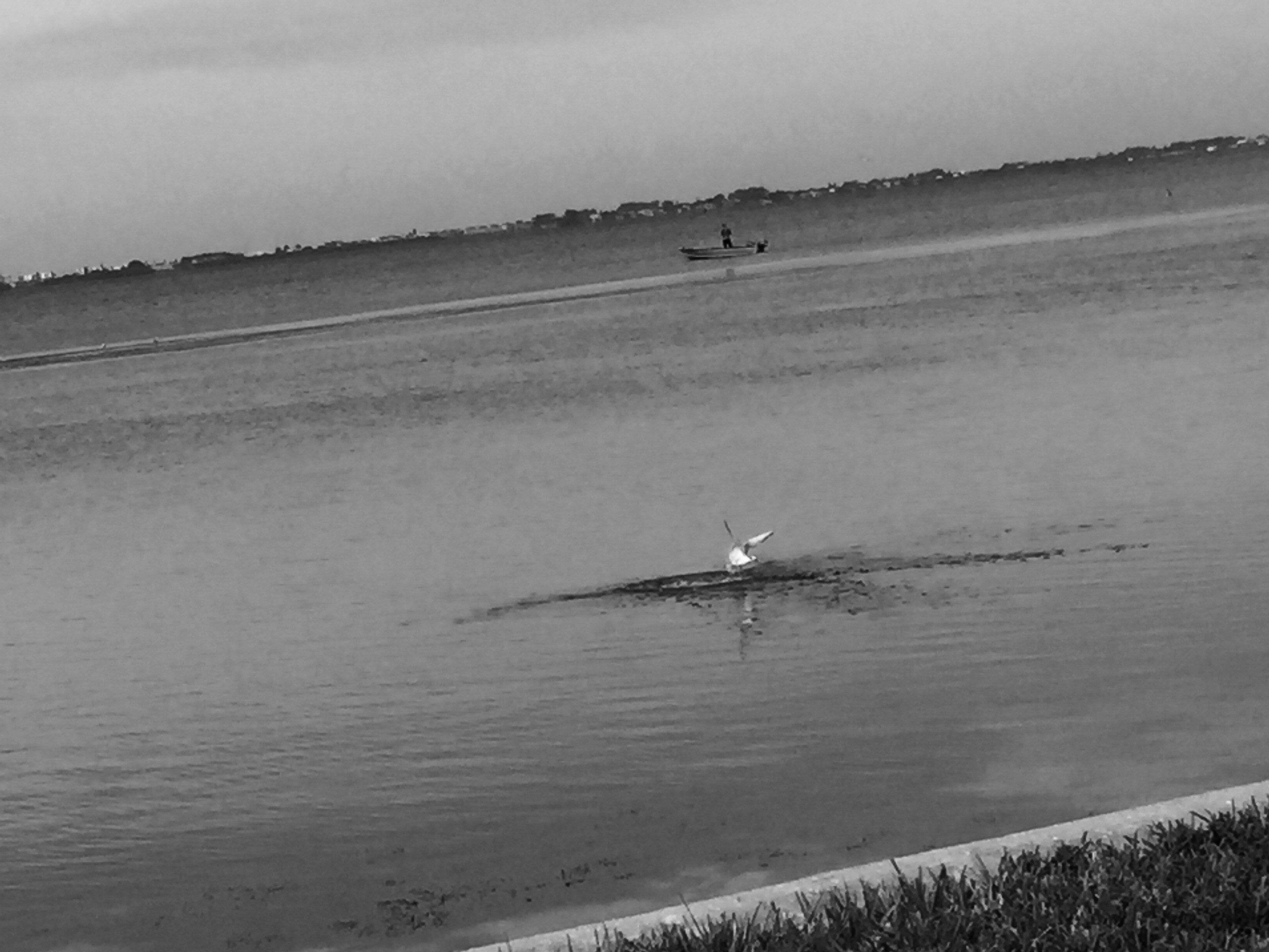 Free Unsplash photo from Sam Whitfield