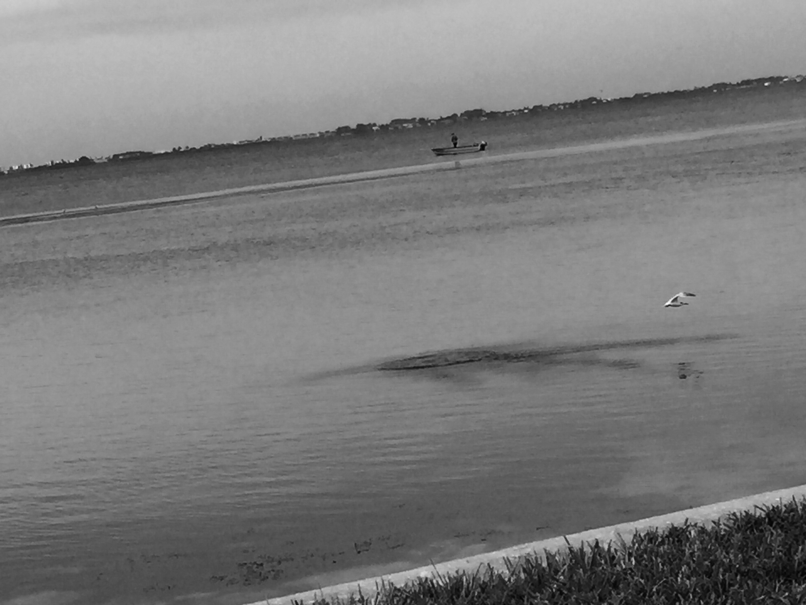 Free Unsplash photo from Sam Whitfield