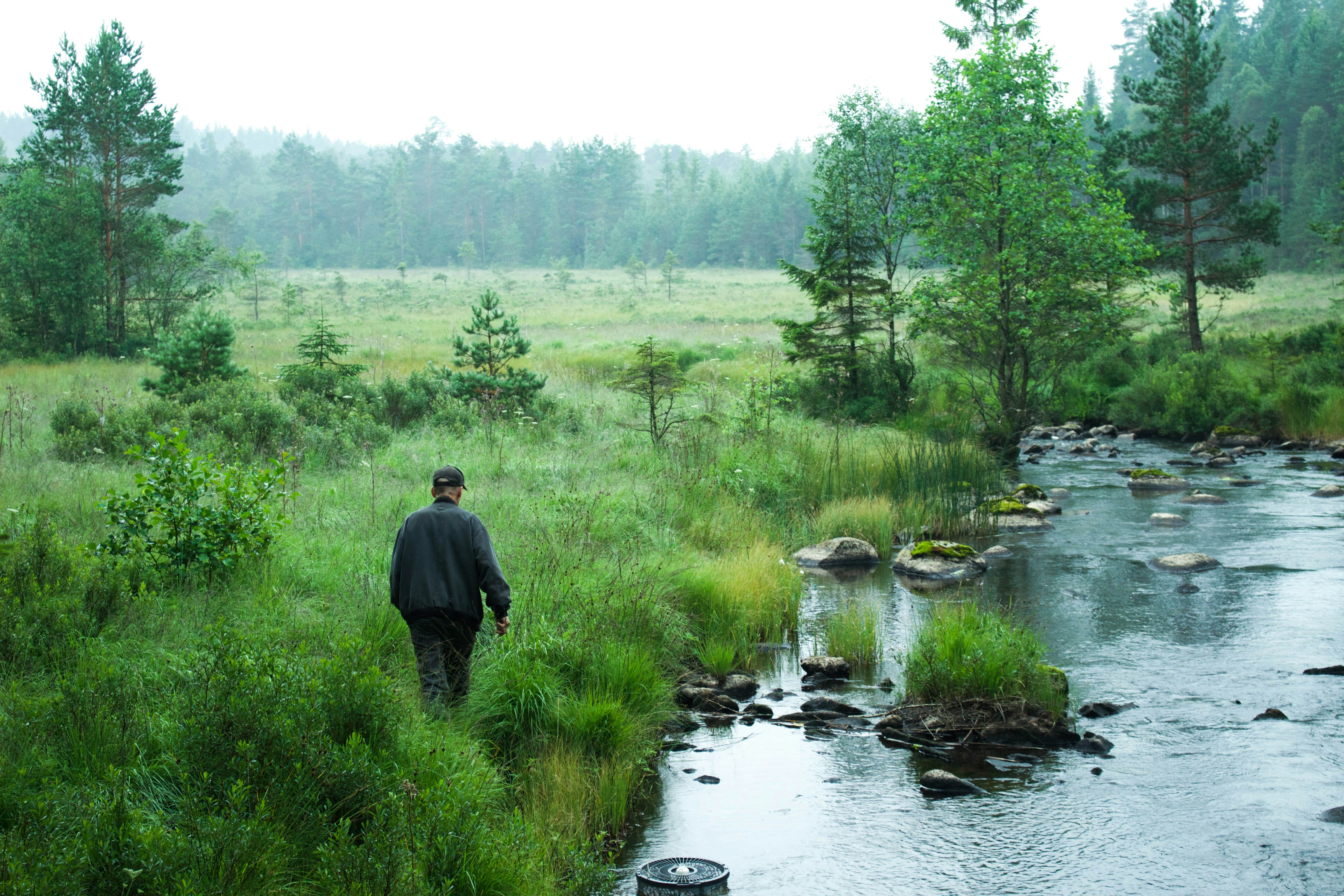 Free Unsplash photo from ludwig friborg