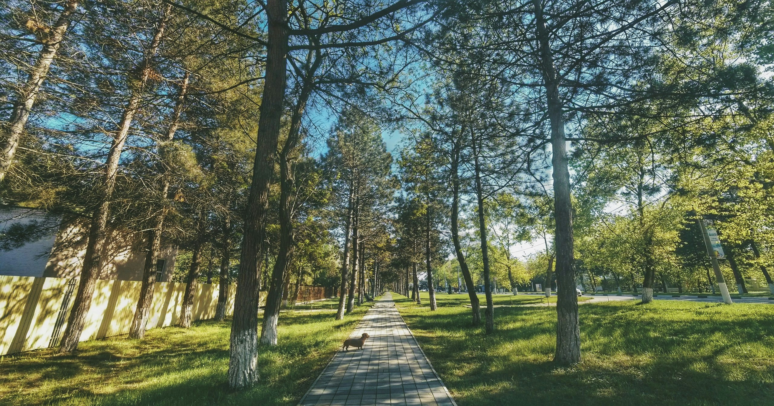 Free Unsplash photo from SERGEY CHUPRIN