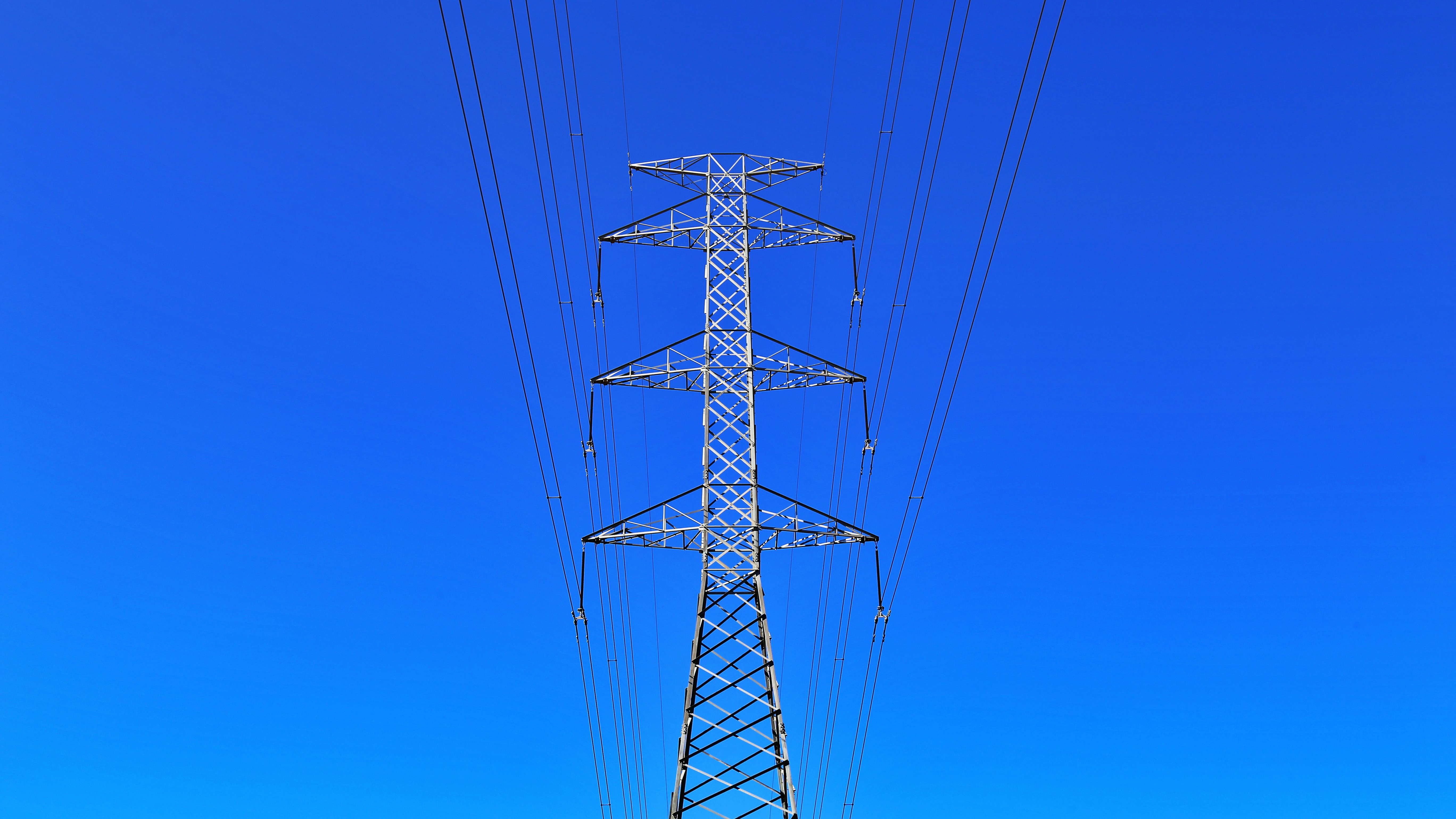 Free Unsplash photo from Mike Wilson