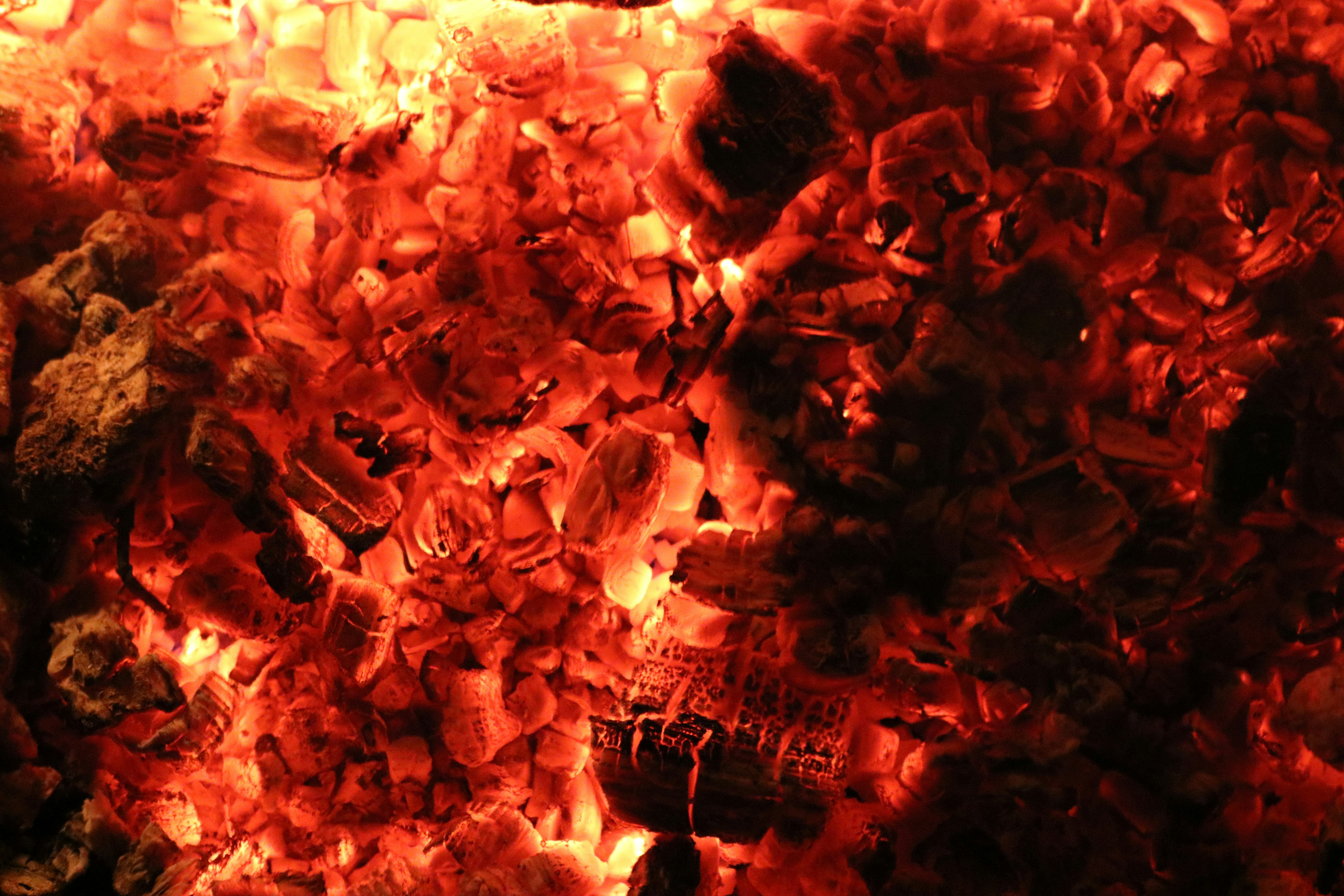 Free Unsplash photo from Izabela Monick