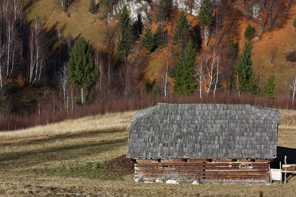 brown and gray house near pine trees