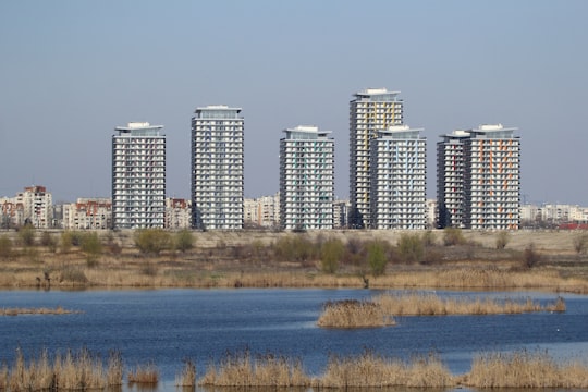 several high-rise buildings cityscape in Asmita Gardens Romania