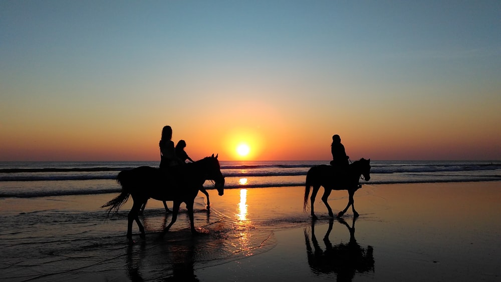 silhouette of three person riding on horse beside sea during golden hour