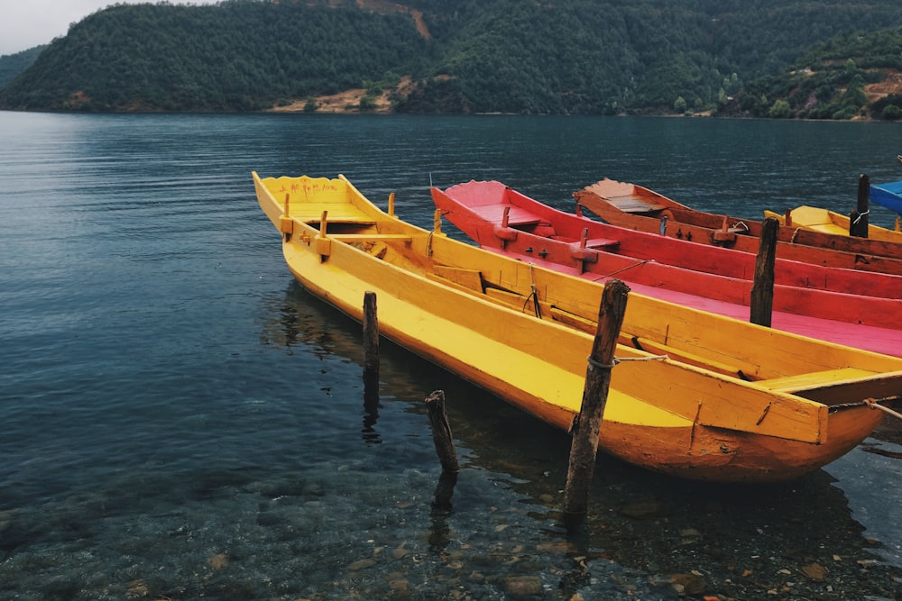 boats near seashore during daytime