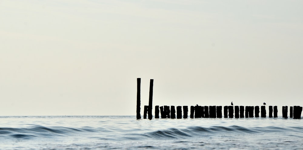 legname in uno specchio d'acqua