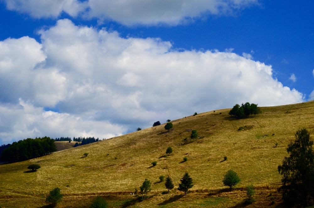 fotografía de paisaje