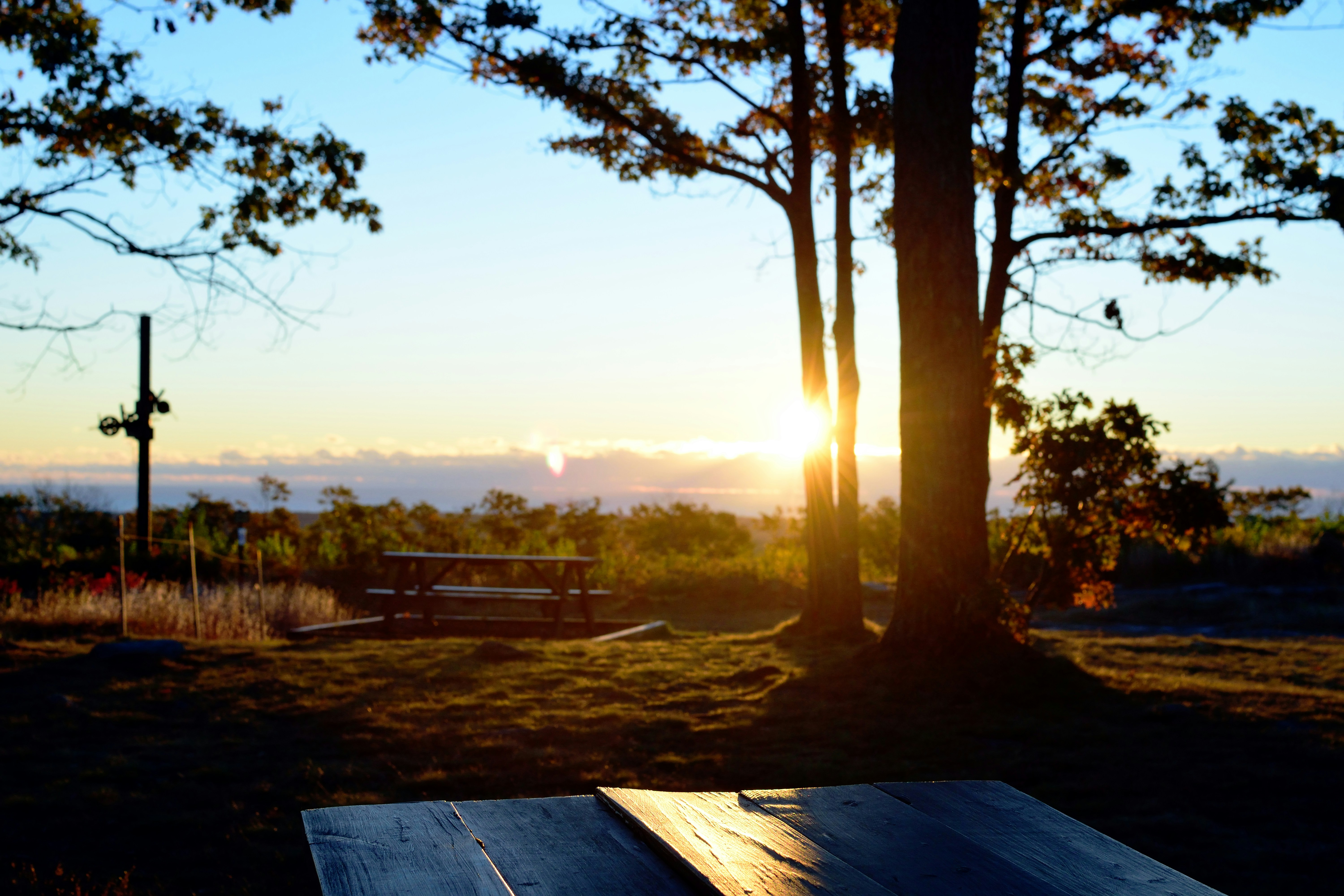 Free Unsplash photo from Jason Leach