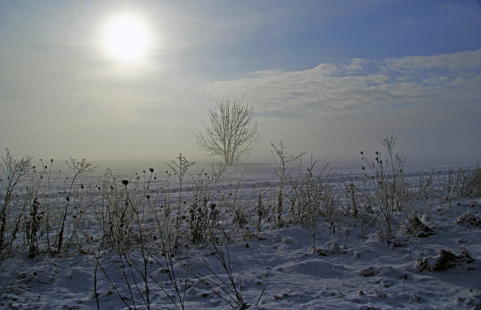 Canon EOS 60D sample photo. Sun shining over snow photography