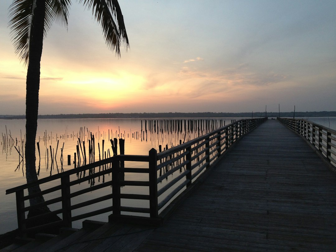 brown bridge on sunrise,