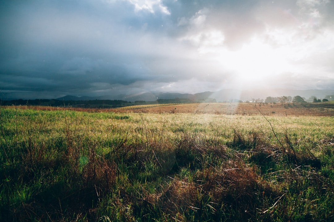green grass field near mountains in sunset,