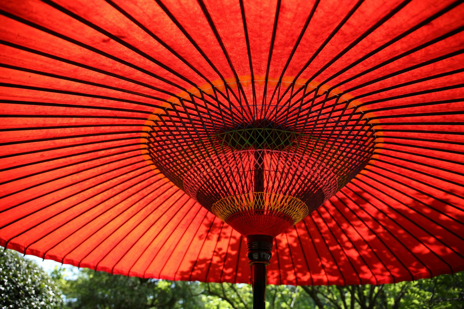 Canon EOS 5D Mark III + Canon EF 24-70mm F4L IS USM sample photo. Red patio umbrella photography