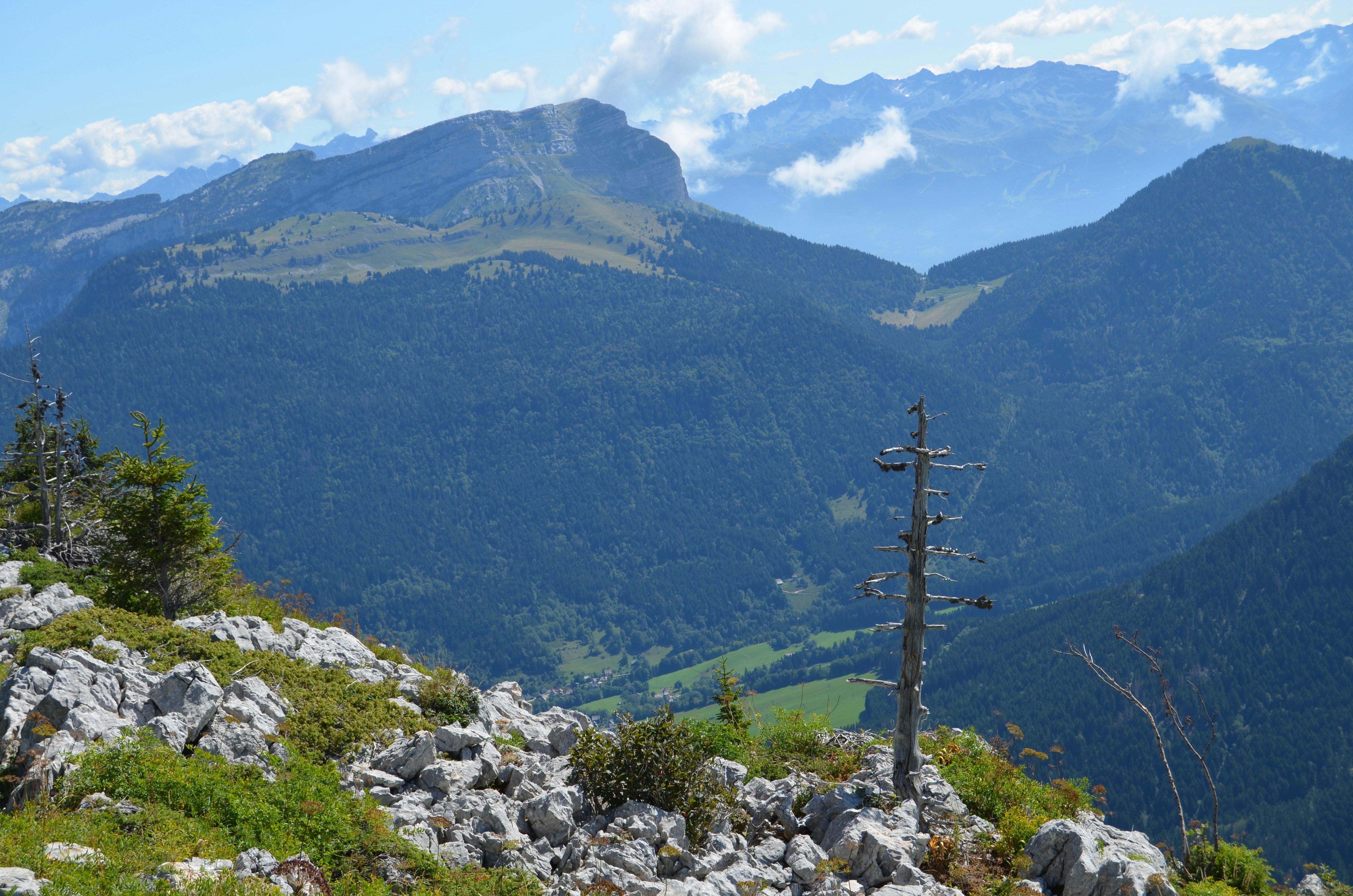 Free Unsplash photo from Ezra