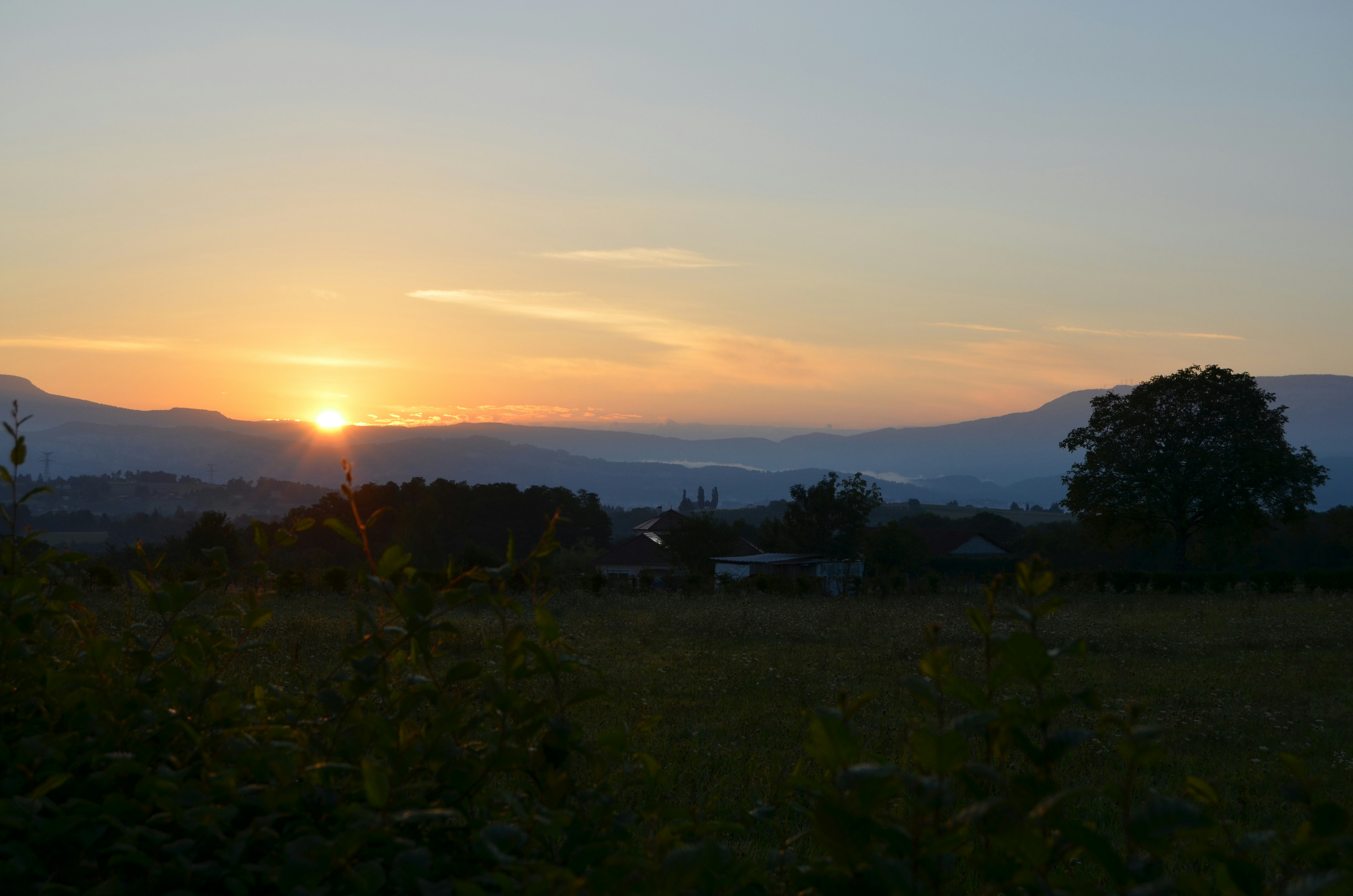 Free Unsplash photo from Ezra