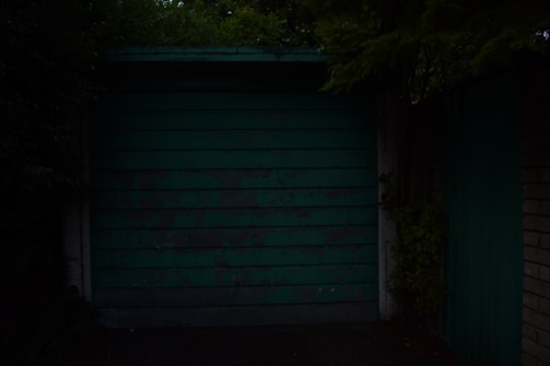 A dark, worn-out green garage door is surrounded by brick walls and overgrown foliage. The lighting is dim, giving the area a neglected look.