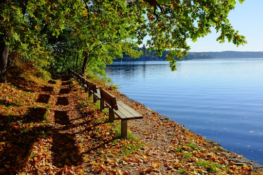 brown wooden bench near body of warter in Sandvika Norway