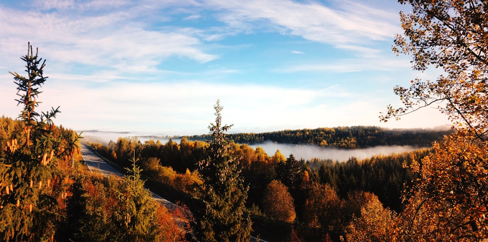 panoramic photography of body of water surrounded with trees
