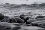 Close-up of gentle waves lapping against smooth stones on a riverbank.