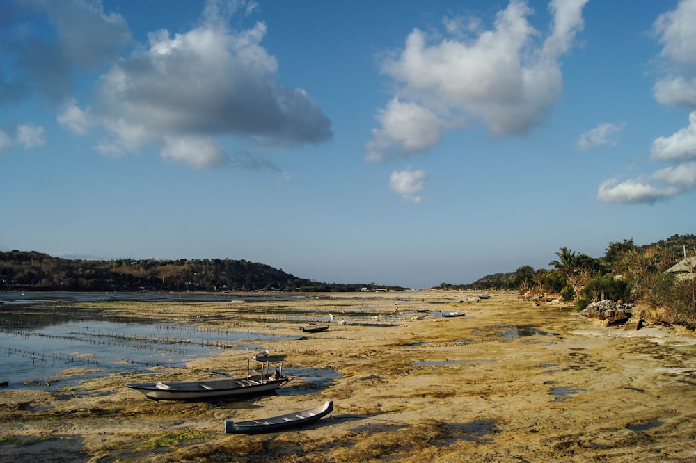 photo of two boats on green moss