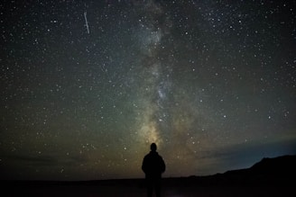 A silhouette of a person stands against a backdrop of the night sky filled with stars and a visible section of the Milky Way galaxy. A shooting star is visible streaking across the starry expanse above.