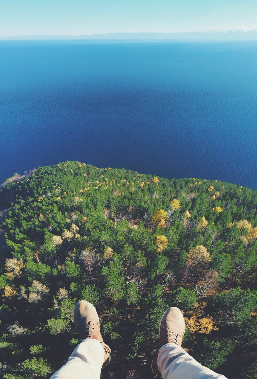 person sitting on top of green trees during daytime